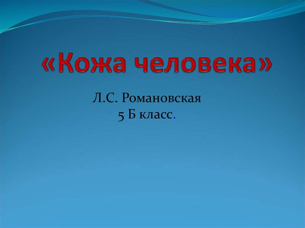 Модель Кожа человека — купить по ФГОС | Учебный стандарт Модель Кожа человека — купить по ФГОС | Учебный стандарт