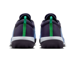 Мужские кроссовки теннисные Nike Zoom Court NXT Clay - cobalt bliss/gridiron/stadium green/green strike