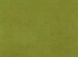 Велюр Verona apple green (Верона эппл грин) 38