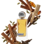 Hormone Paris This is Not Testosterone EDP