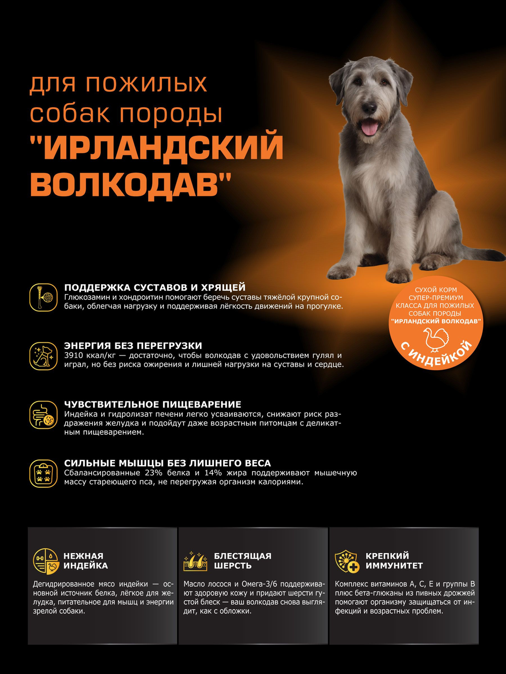 Корм сухой для пожилых собак породы Ирландский волкодав старше 5 лет, с индейкой, 3 кг, QUATTRO