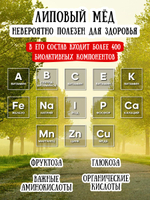 Мёд натуральный липовый, 700 г