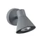 Спот Claris FR4308-WL-01-GR Freya