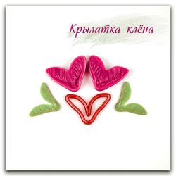 Крылатка клёна