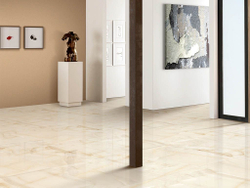 ONIX PRO