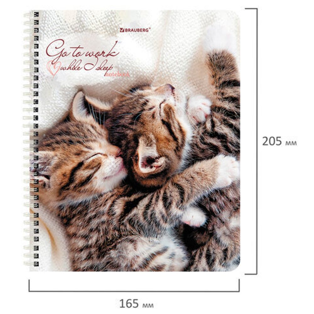 Тетрадь А5, 96 л., BRAUBERG, гребень, клетка, обложка картон, "Котики", 404425, 4шт