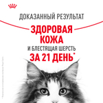Royal Canin Hair&Skin Care Хэйр Энд Скин Корм влажный для взрослых кошек поддержание здоровья кожи и шерсти соус 85г