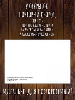 Грибы. 9 открыток