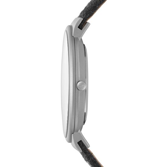 Наручные часы Skagen SKW6097