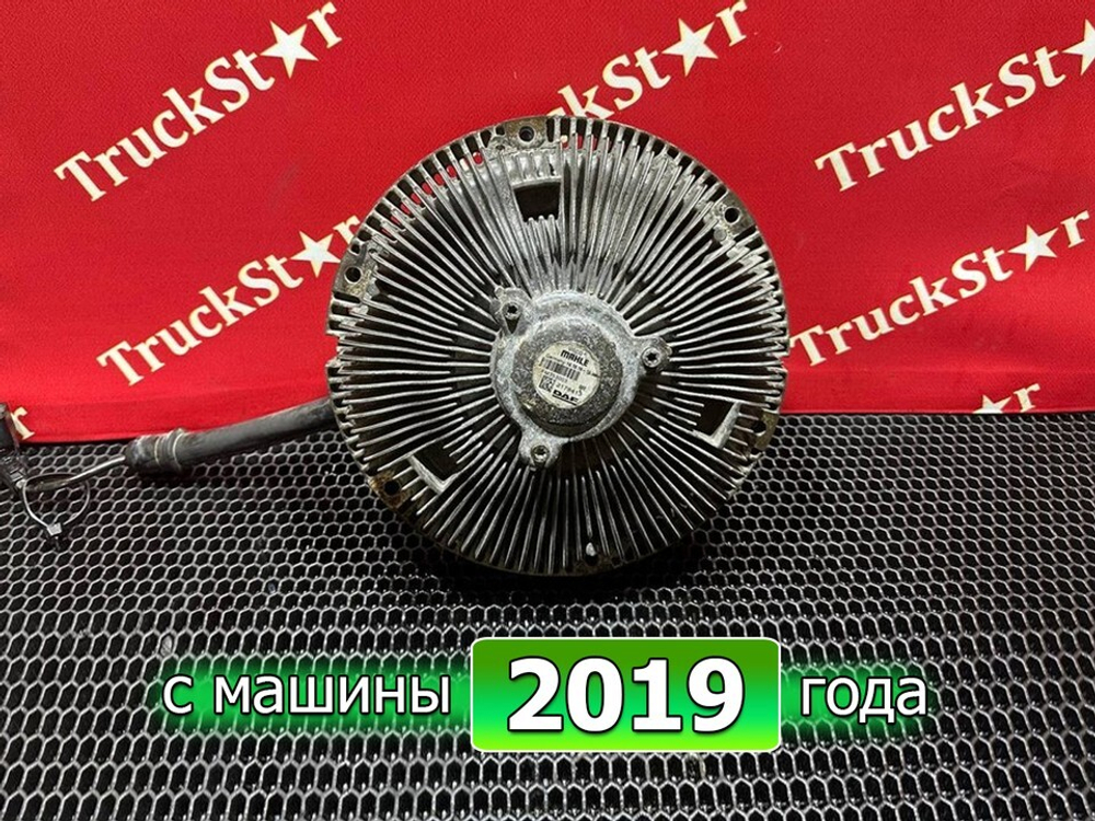 Вискомуфта 2019г.