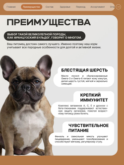 Корм сухой для пожилых собак породы Французский бульдог старше 7 лет, с индейкой, 3 кг, QUATTRO