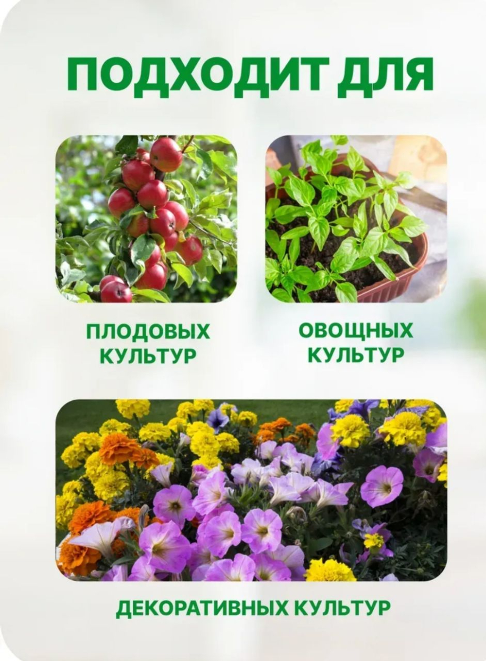 Стимулятор корнеобразования Корневин, 5 гр