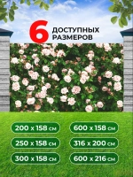 Фотосетка на забор кусты яркие цветы розы 6х2,16 м