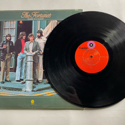 Винтажная виниловая пластинка LP The Fortunes Storm In A Teacup (Канада 1972)