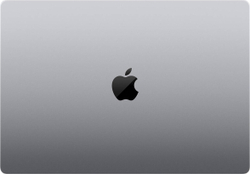 Ноутбук 16" Apple MacBook Pro 2021 M1 16" M1 Max 10-core/64GB/2048GB SSD/Apple M1 24-core GPU Серый космос Z14V0008R