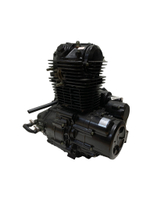 Двигатель в сборе LX166FML 223 куб.см SCR250
