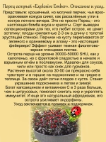 Перец Взрывоопасные угольки острый