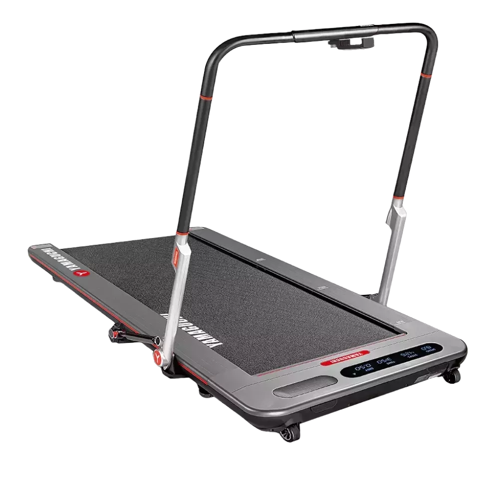YAMAGUCHI Runway PRO-X