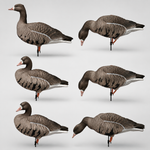 Белолобый гусь Duck Mania "ALFA"
