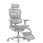 Кресло FALTO Ergohuman Luxury 2 с подножкой ( серый каркас /сетка светлаяT-168-B2 Natural)