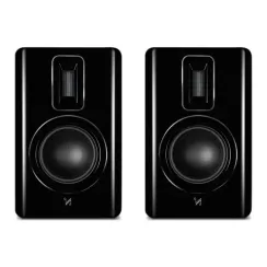 Quad Revela 1 Walnut Black