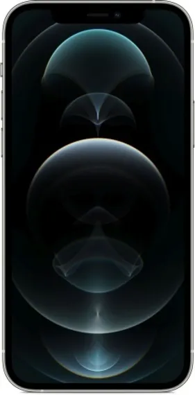 Apple iPhone 12 Pro 256GB Silver (Серебристый)