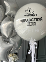 Набор шаров «Здравствуй школа»