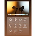 Осветитель Godox Litemons LE300Bi, 2800-6500К, 315 Вт, Bowens