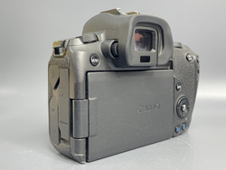 Canon EOS R 31000 кадров