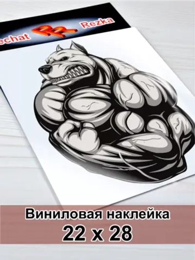Наклейка - Питбуль бодибилдер