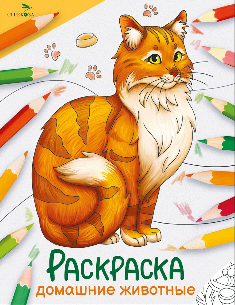 Окружающий мир. Раскраска