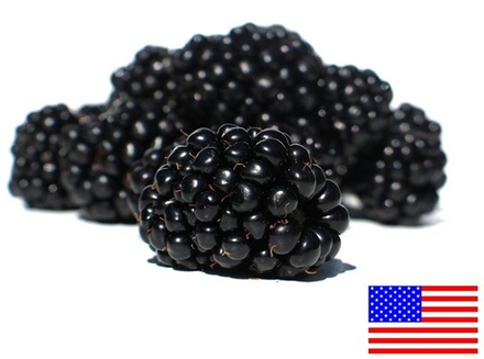 Blackberry | Ежевика (TPA), ароматизатор пищевой