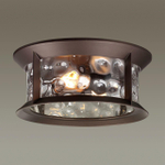 Уличный потолочный светильник Odeon Light MAVRET 4961/2C