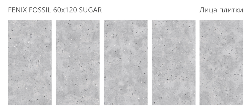 FENIX FOSSIL 60x120 SUGAR