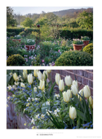 A Year Full of Pots: Container Flowers for All Seasons