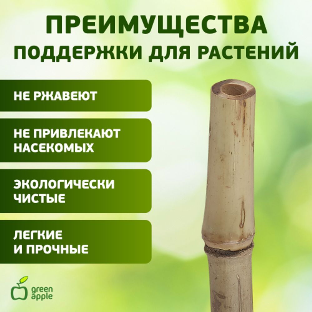 GBS-10-75 GREEN APPLE Поддержка бамбуковая 75см o 10мм набор 5шт | GREEN APPLE