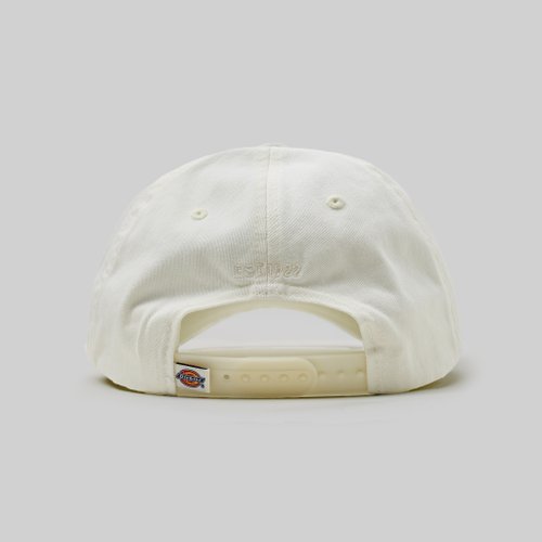 Кепка Dickies Hardwick 6 Panel Logo артикул:DK0A4TKVC581 - купить в магазине Дайс