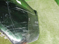 DSCN4192.jpg