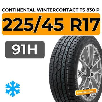 Continental WinterContact TS 830 P 225/45 R17 91H