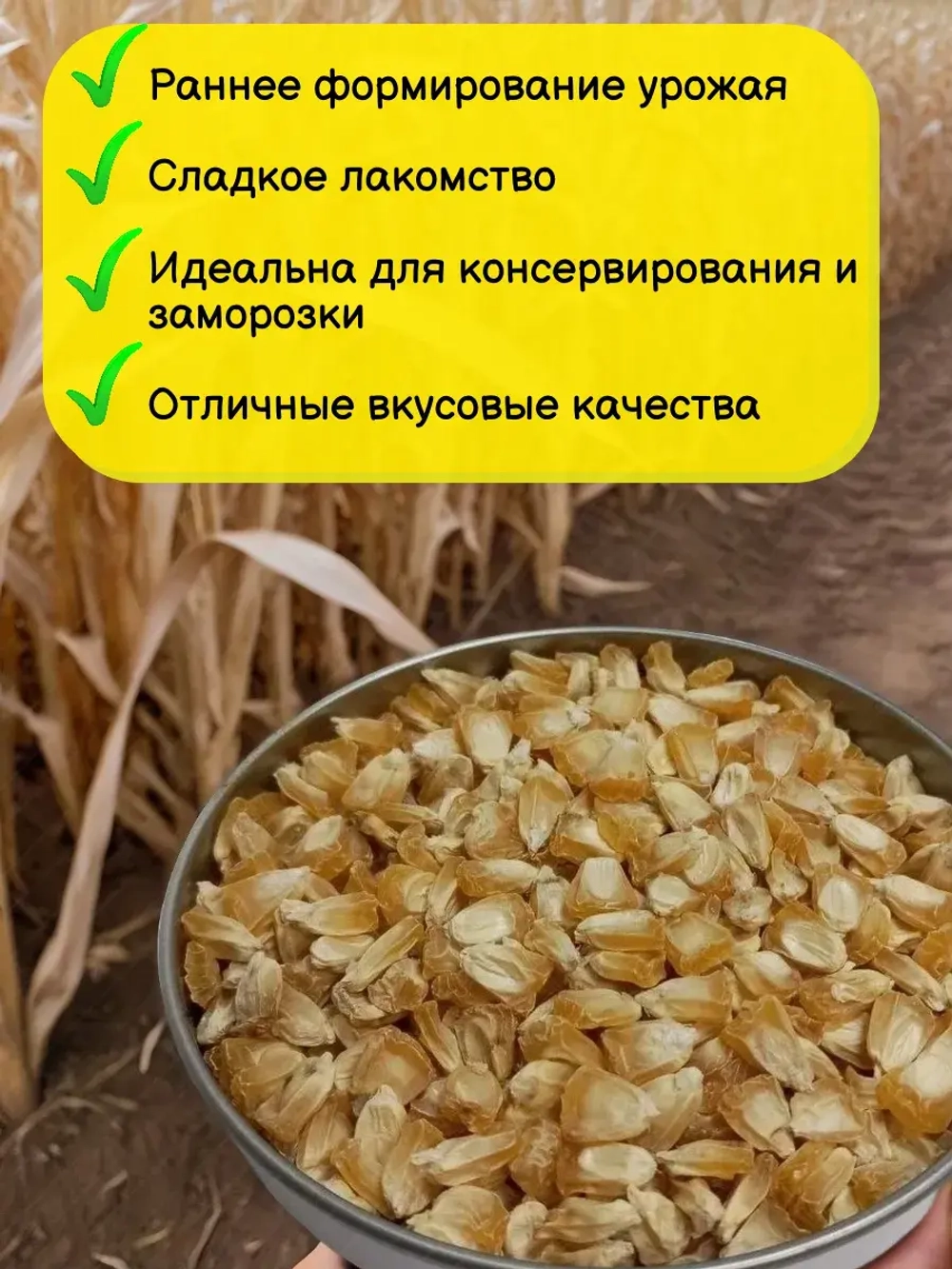 Семена Кукуруза 20 грамм