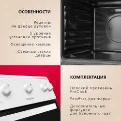 Газовая плита Hansa FCGW510009H