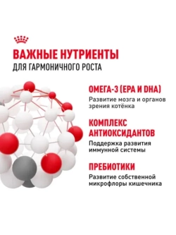 Kitten Корм для котят до 12 месяцев 1,2кг