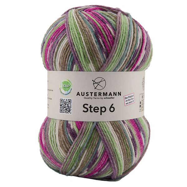 Пряжа Austermann (Аустерманн) Step 6 / уп.5 мот. по 410 г, 150 г, 2306-1