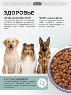 Корм сухой полнорационный для собак средних и крупных пород SF Immuno Balance, (гистиоцитарные опухоли), 12 кг, QUATTRO