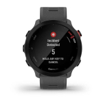 Умные часы Garmin Forerunner 55 серые