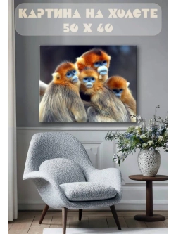 Картина на стену 40 X 50 Китайские обезьяны