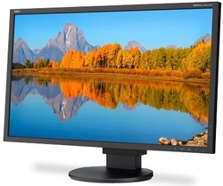 Монитор NEC MultiSync EA223WM Black (EA223WM-BK)