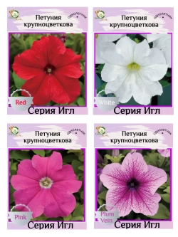 Семена Петуния Крупноцветковая