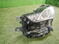 DSCN5477.jpg