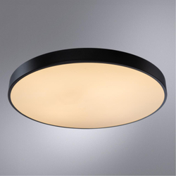 Светильник потолочный Arte Lamp Arena A2673PL-1BK